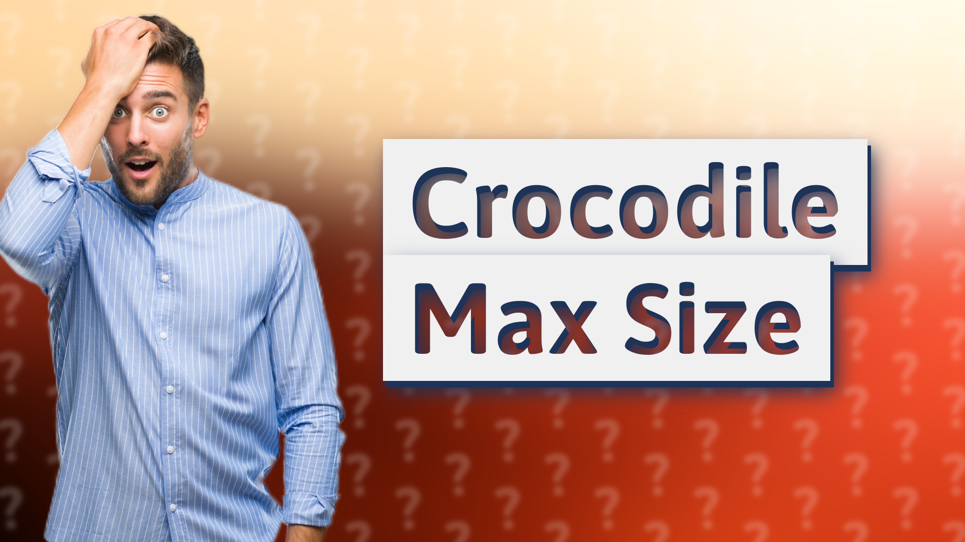 Crocodile Max Size