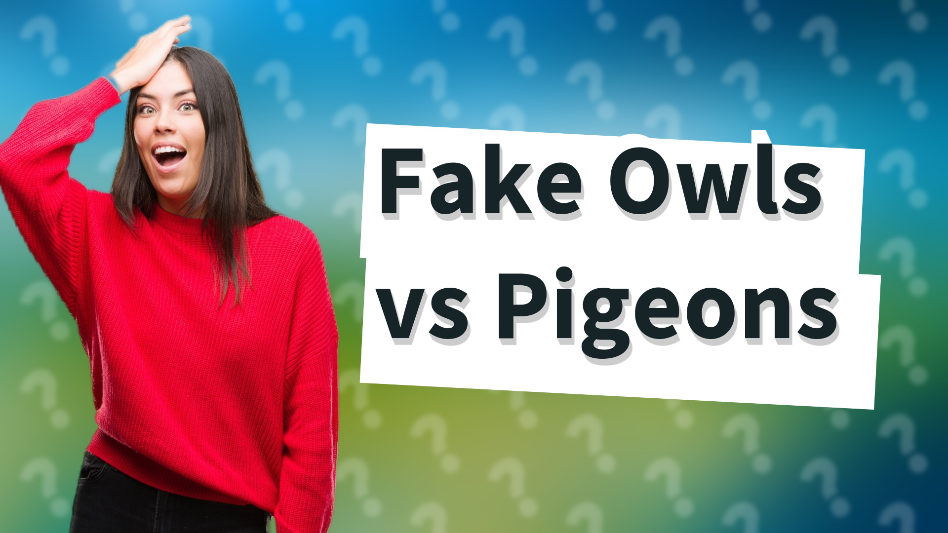 Fake Owls vs Pigeons