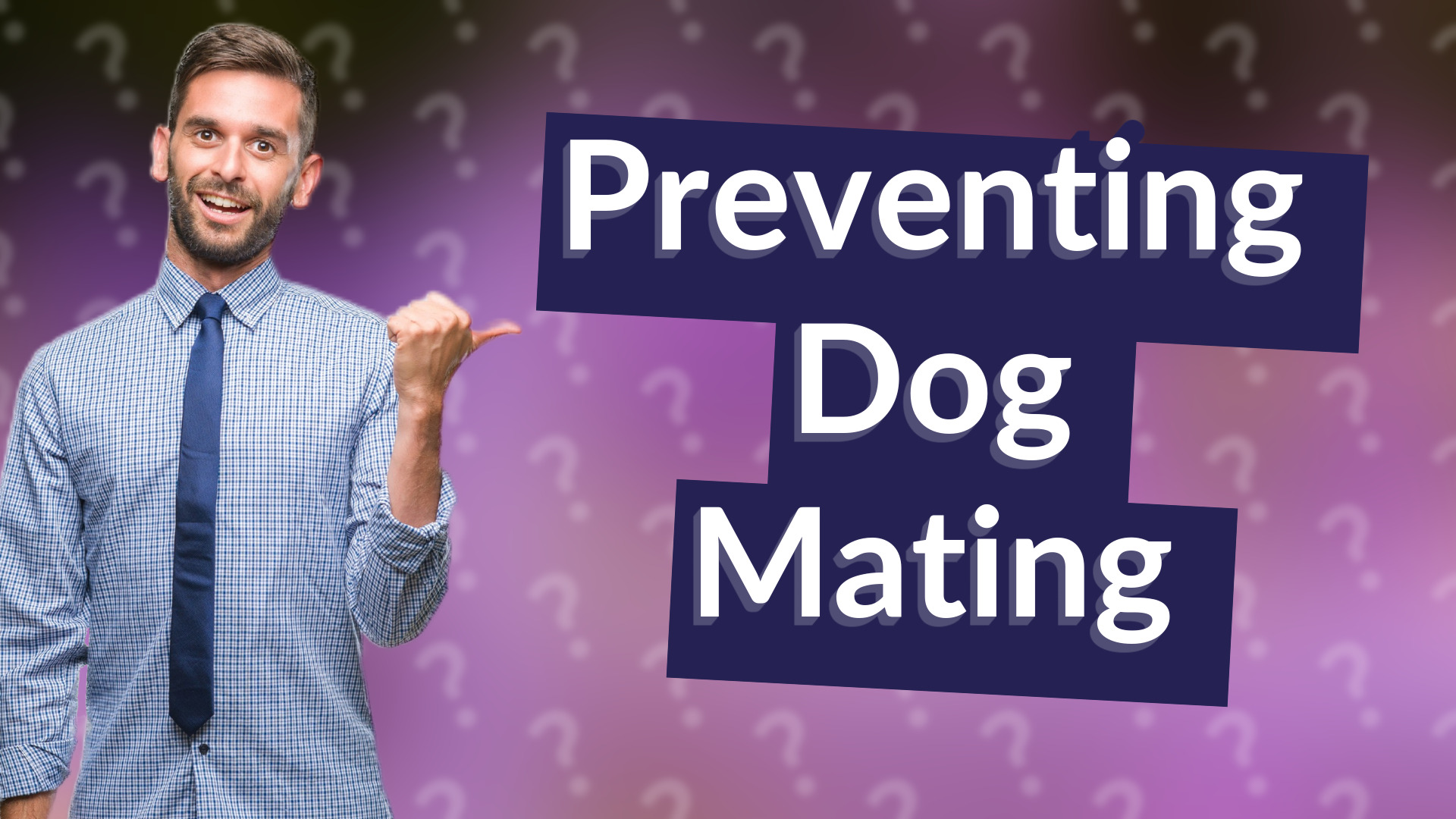 Preventing Dog Mating