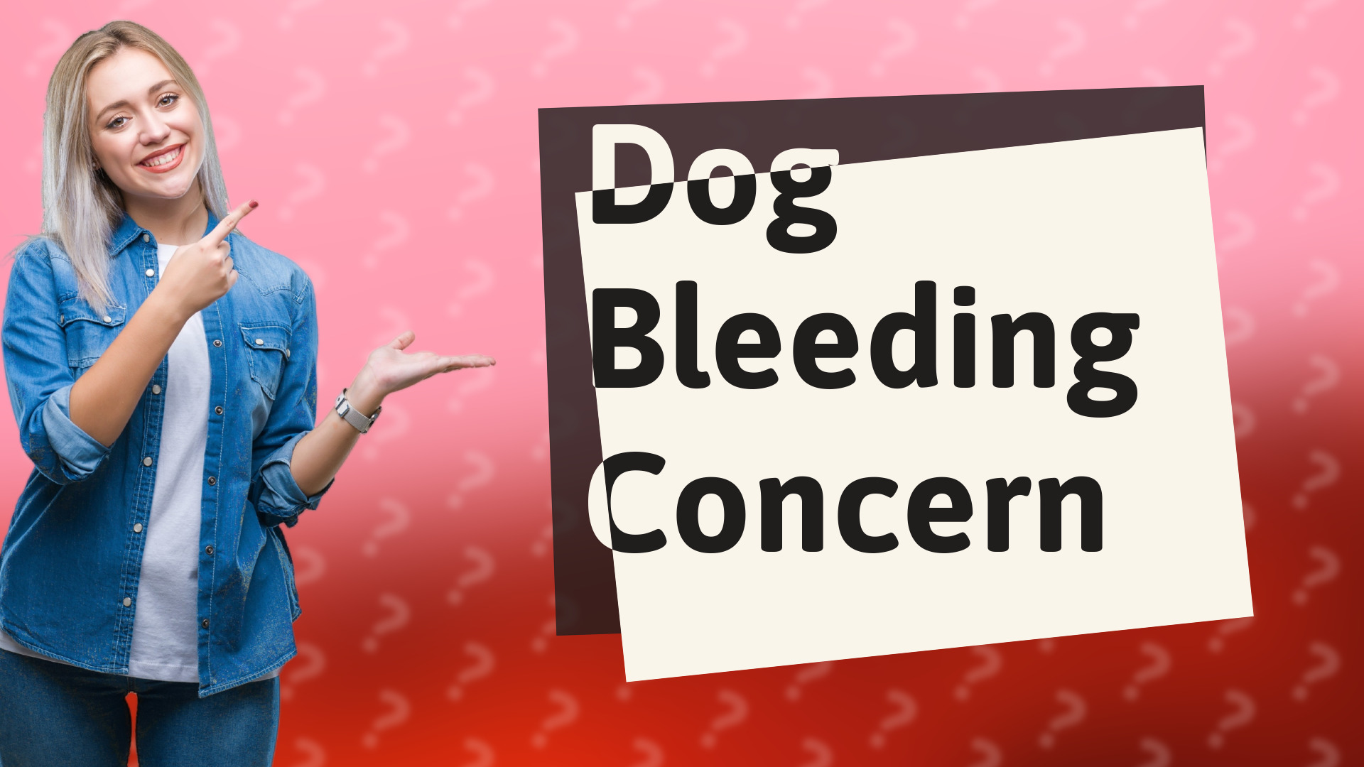 Dog Bleeding Concern
