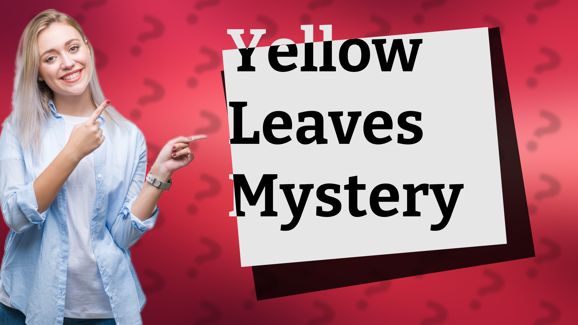 Yellow Leaves Mystery