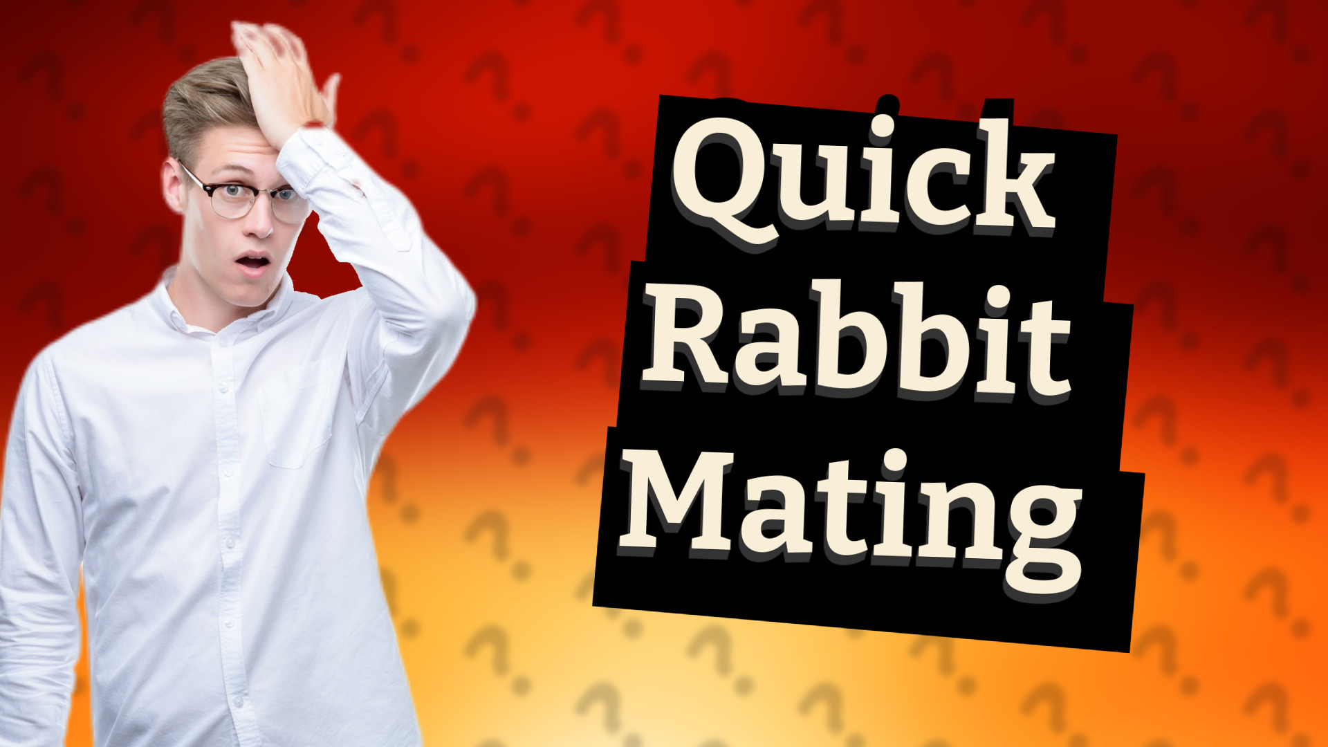 Quick Rabbit Mating
