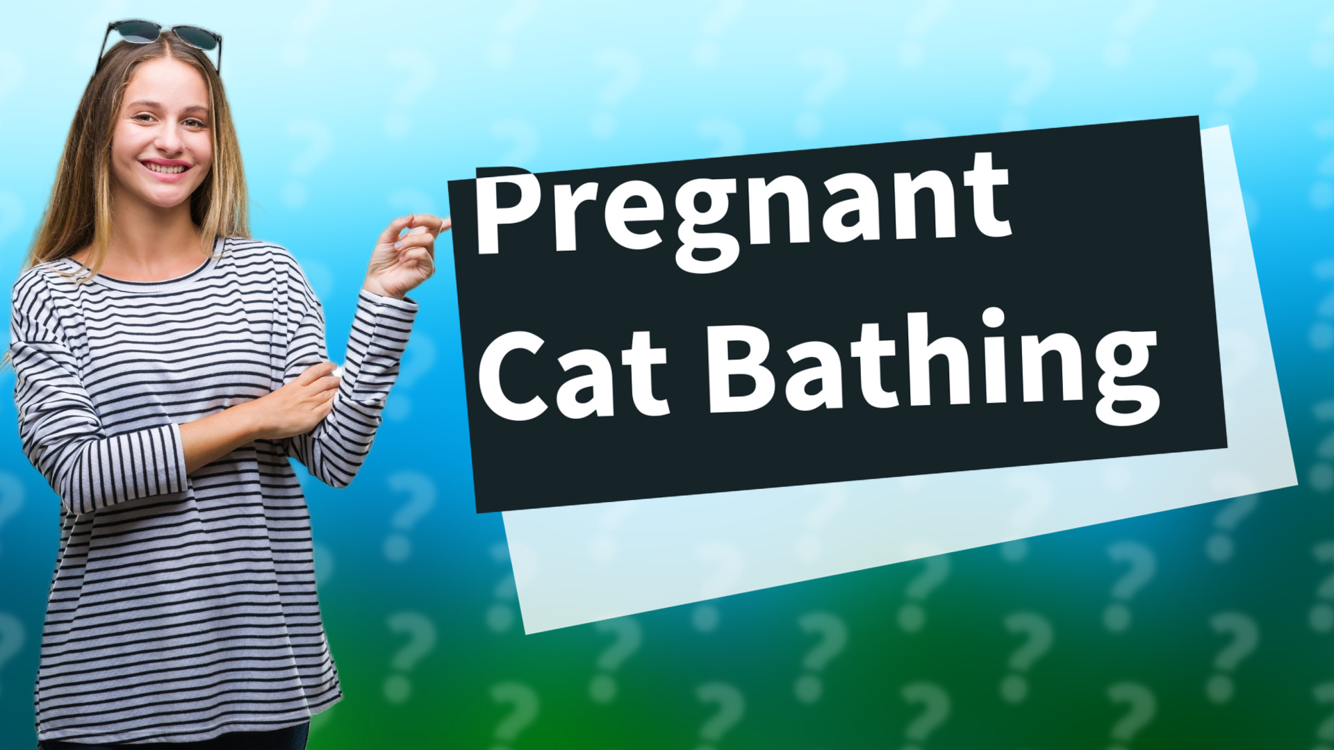 Pregnant Cat Bathing