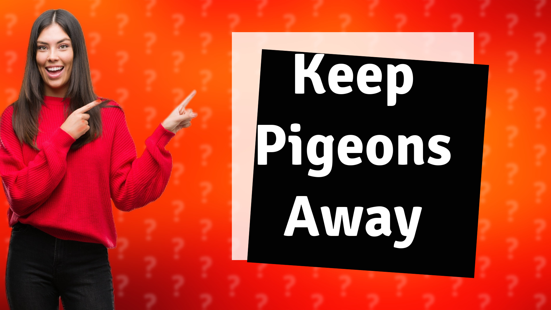 Keep Pigeons Away