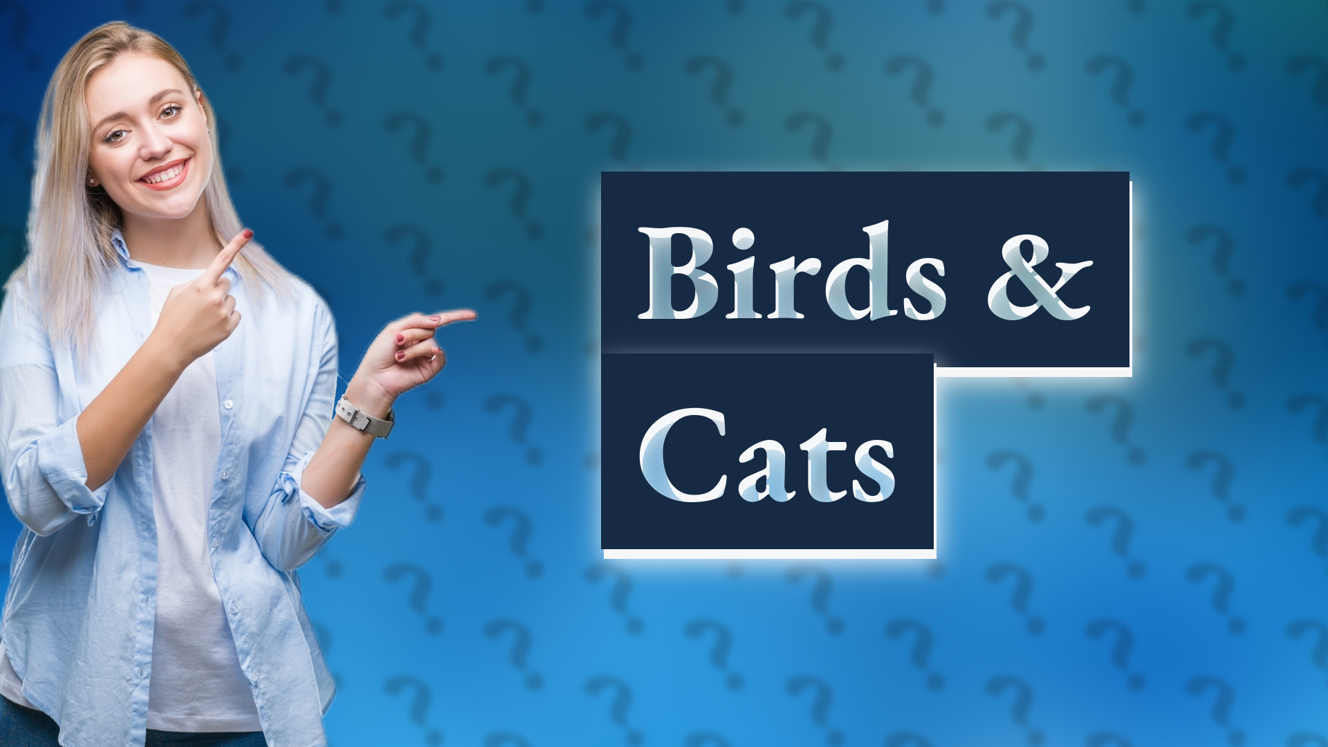 Birds & Cats