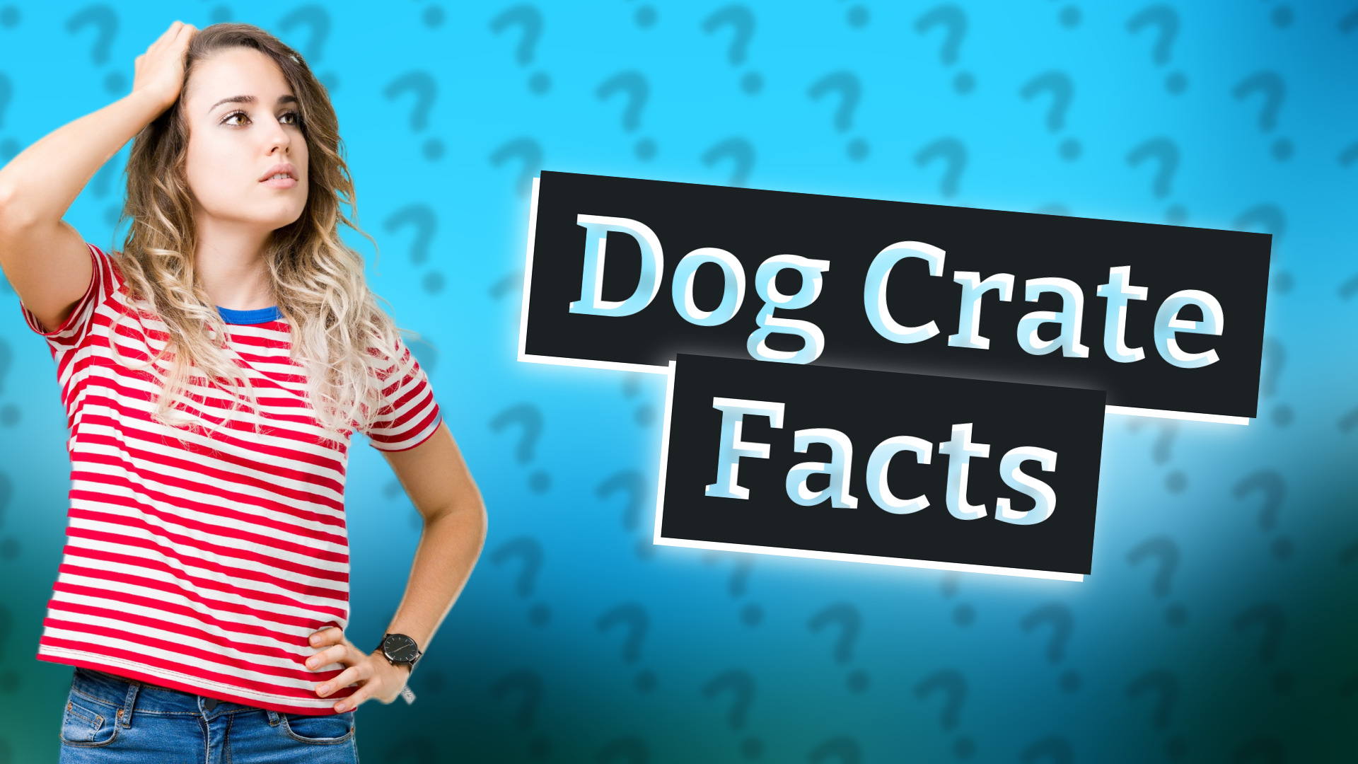 Dog Crate Facts