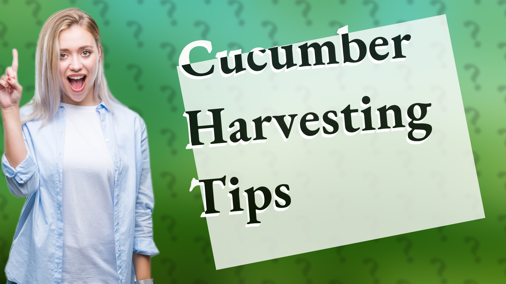 Cucumber Harvesting Tips