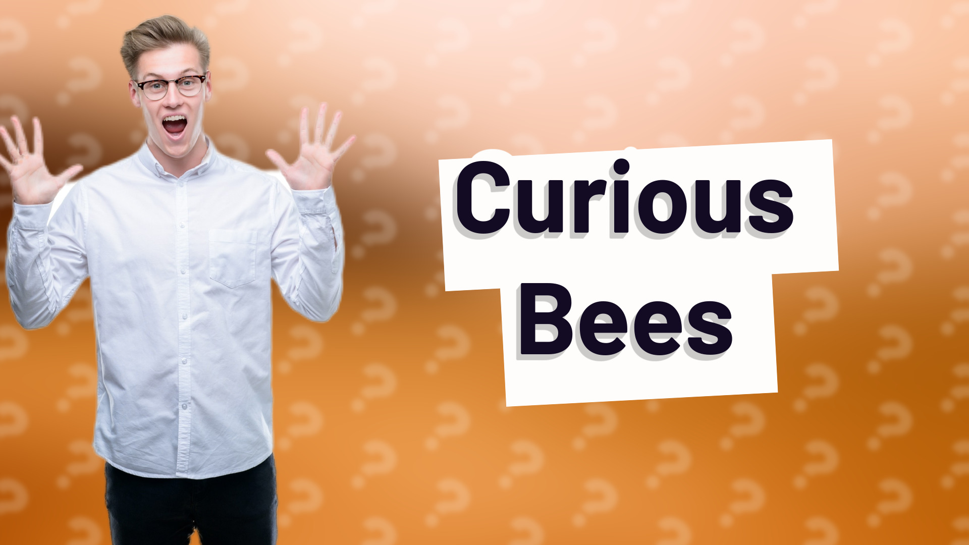 Curious Bees