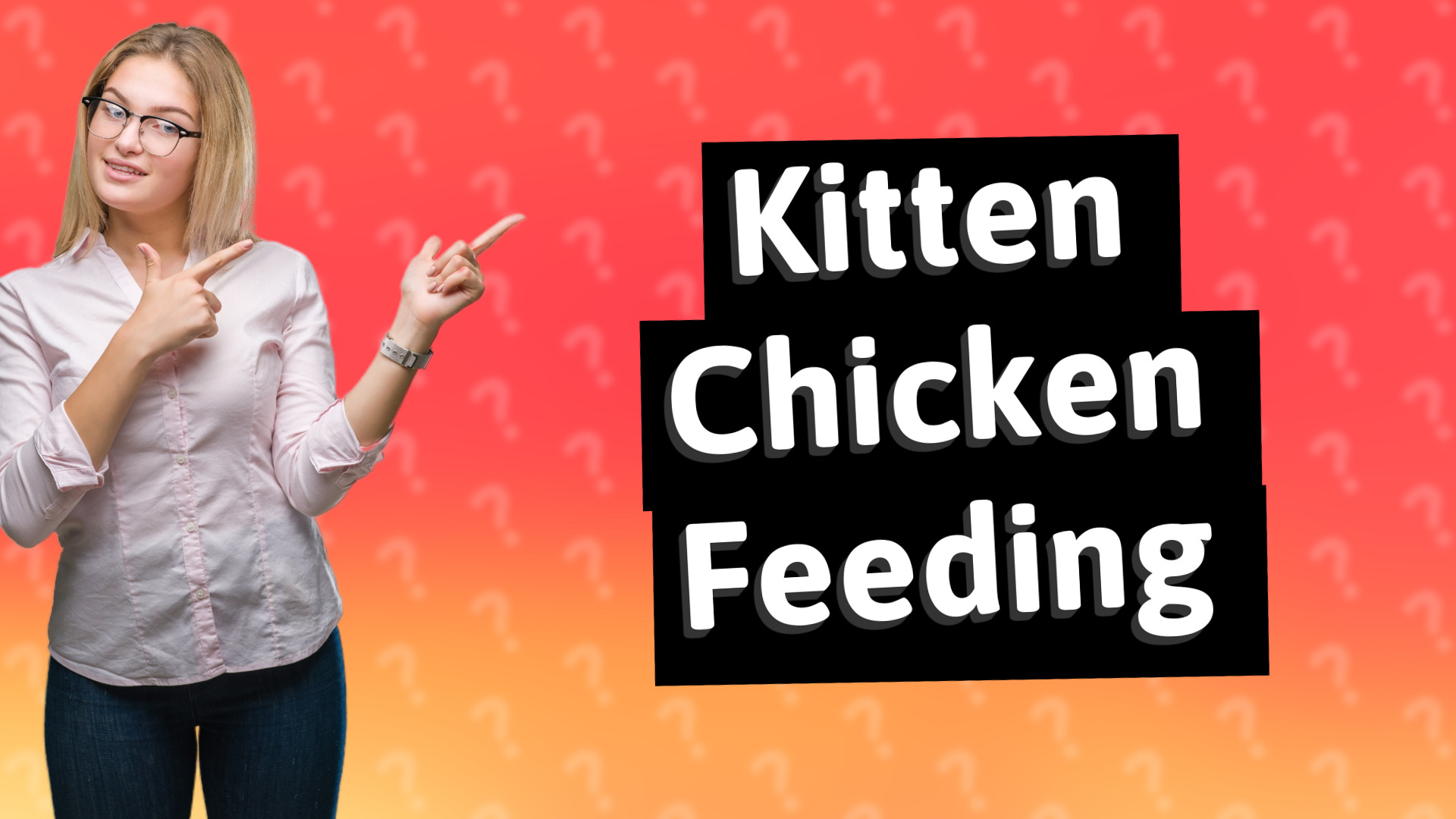 Kitten Chicken Feeding