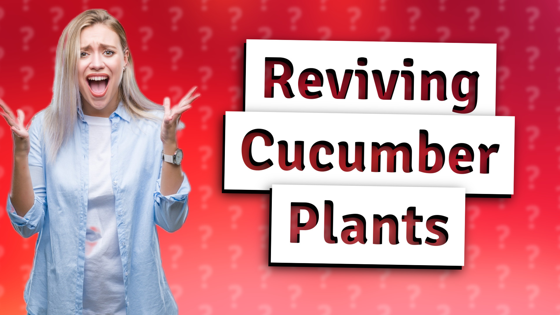 Reviving Cucumber Plants