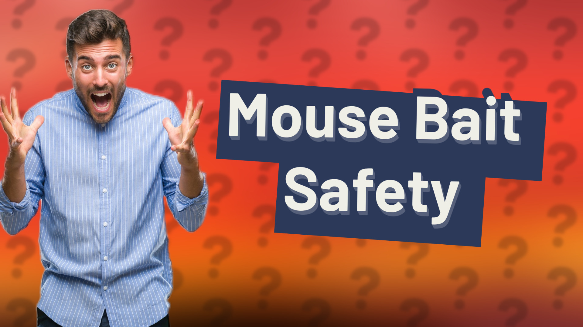 Mouse Bait Safety