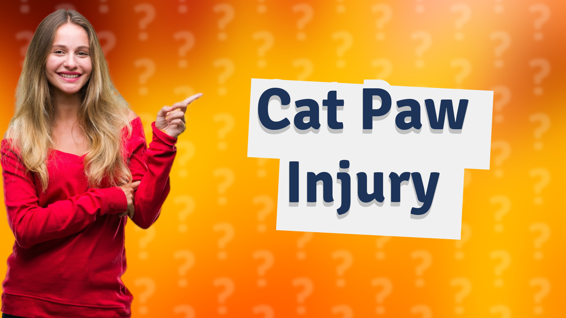 Cat Paw Injury