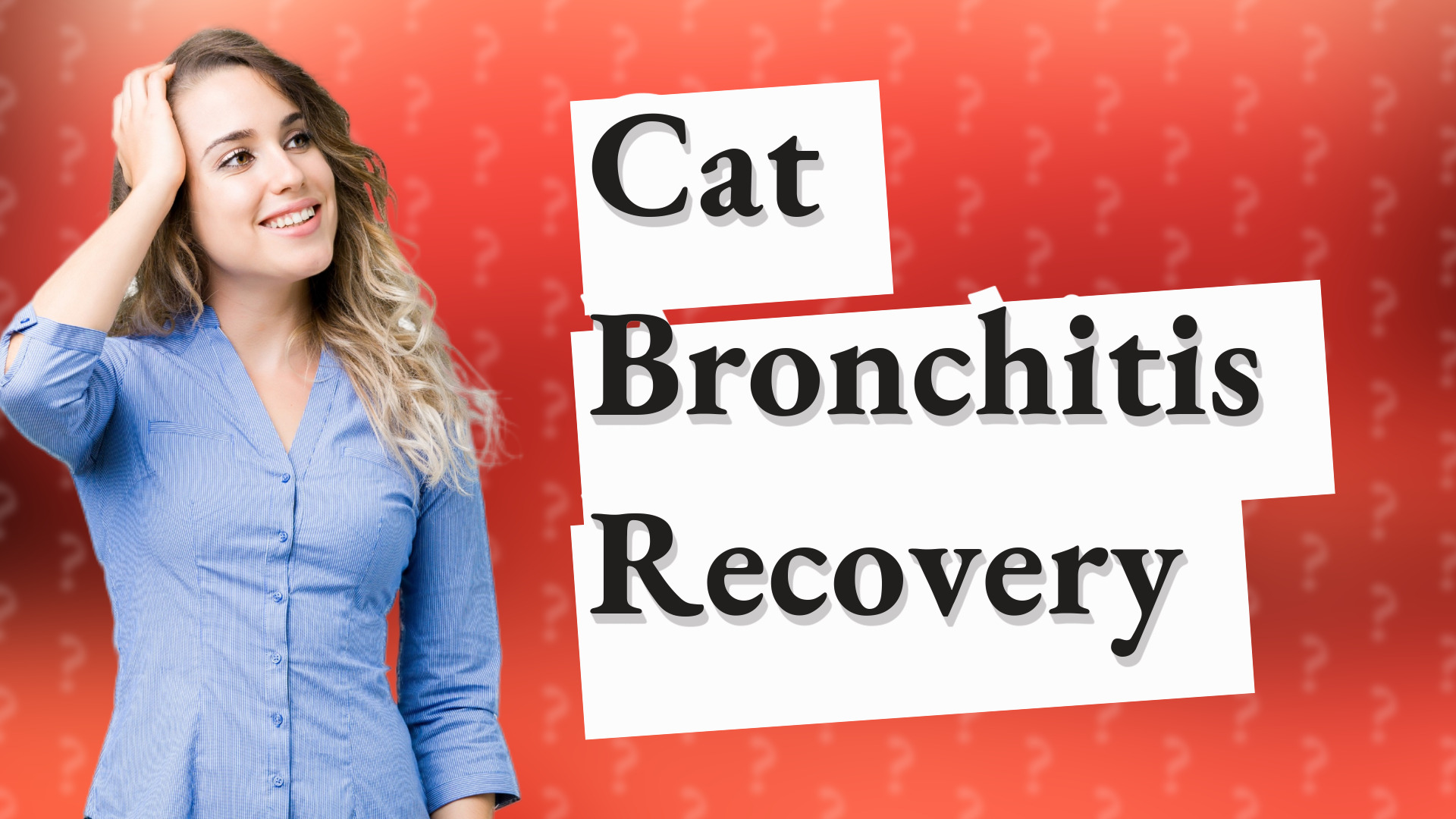 Cat Bronchitis Recovery