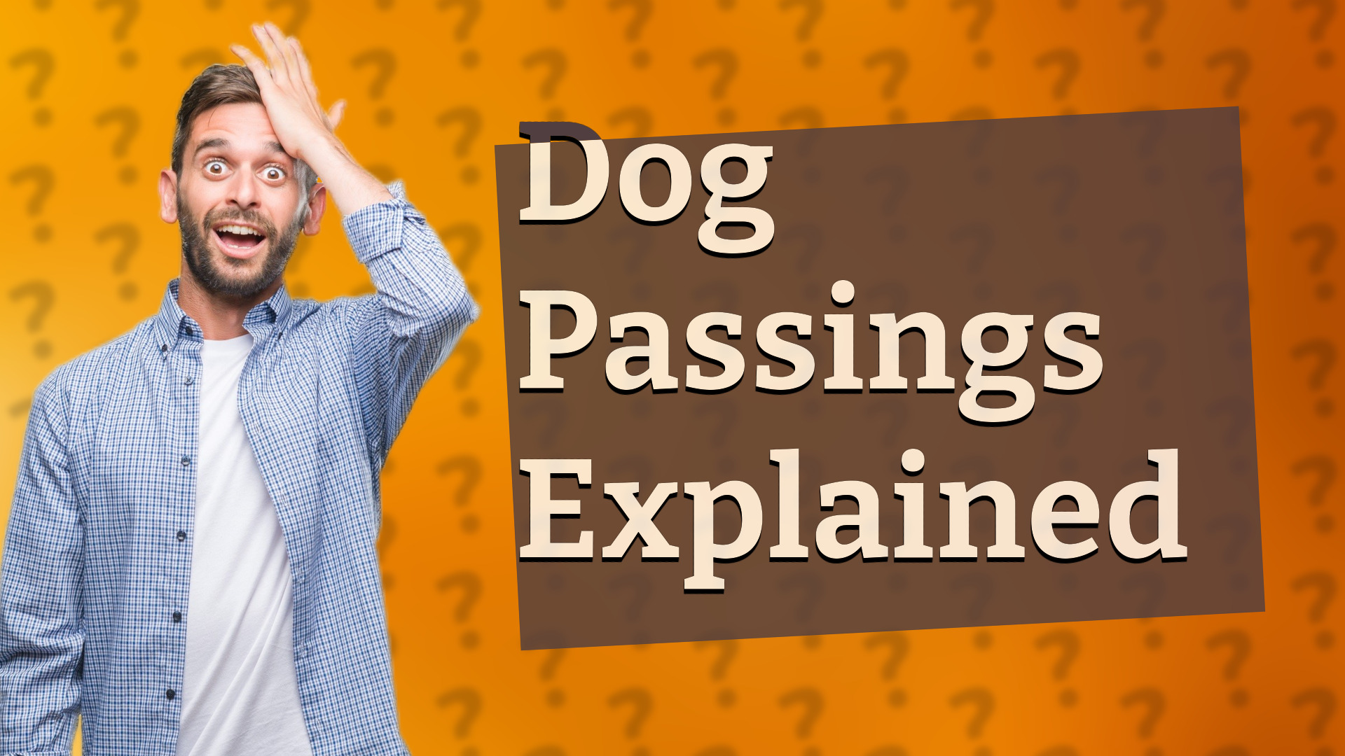 Dog Passings Explained