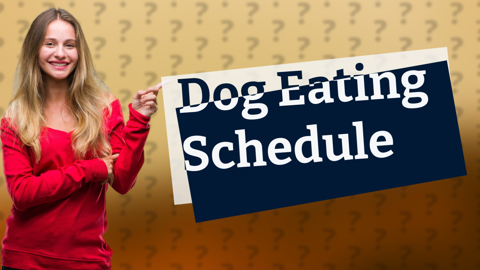 Dog Eating Schedule