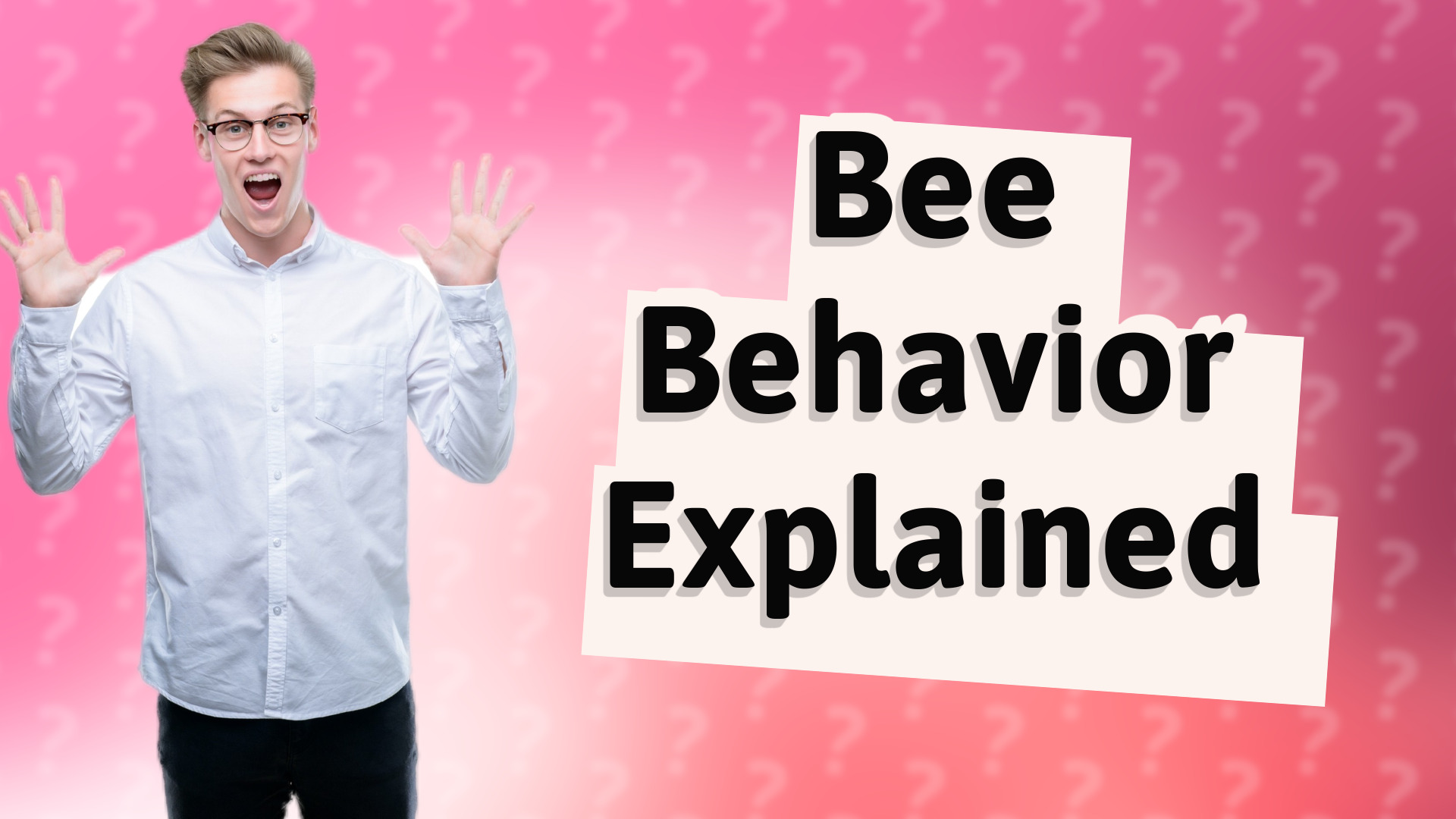 Bee Behavior Explained