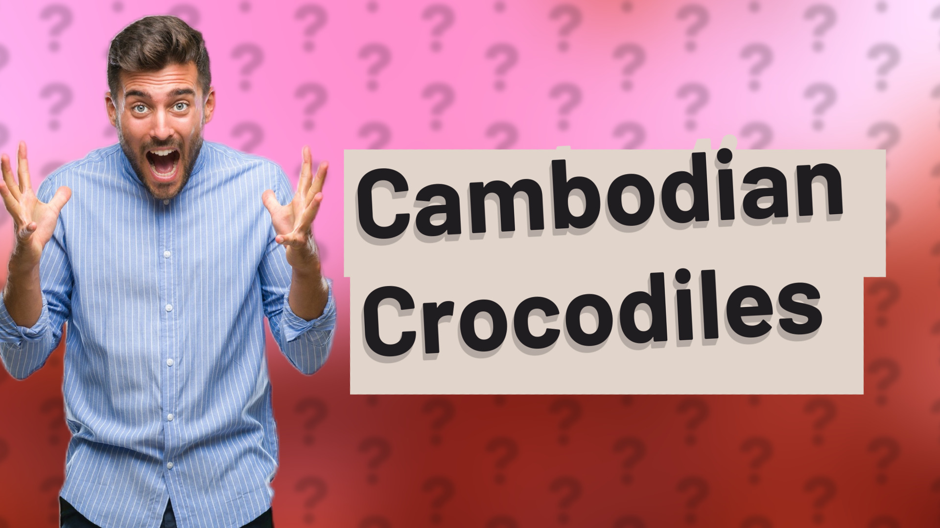 Cambodian Crocodiles