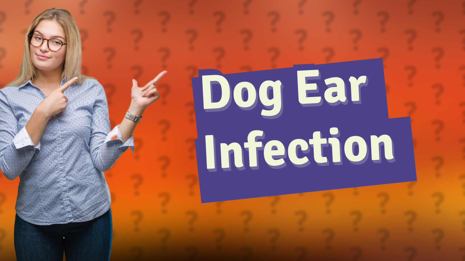 Dog Ear Infection