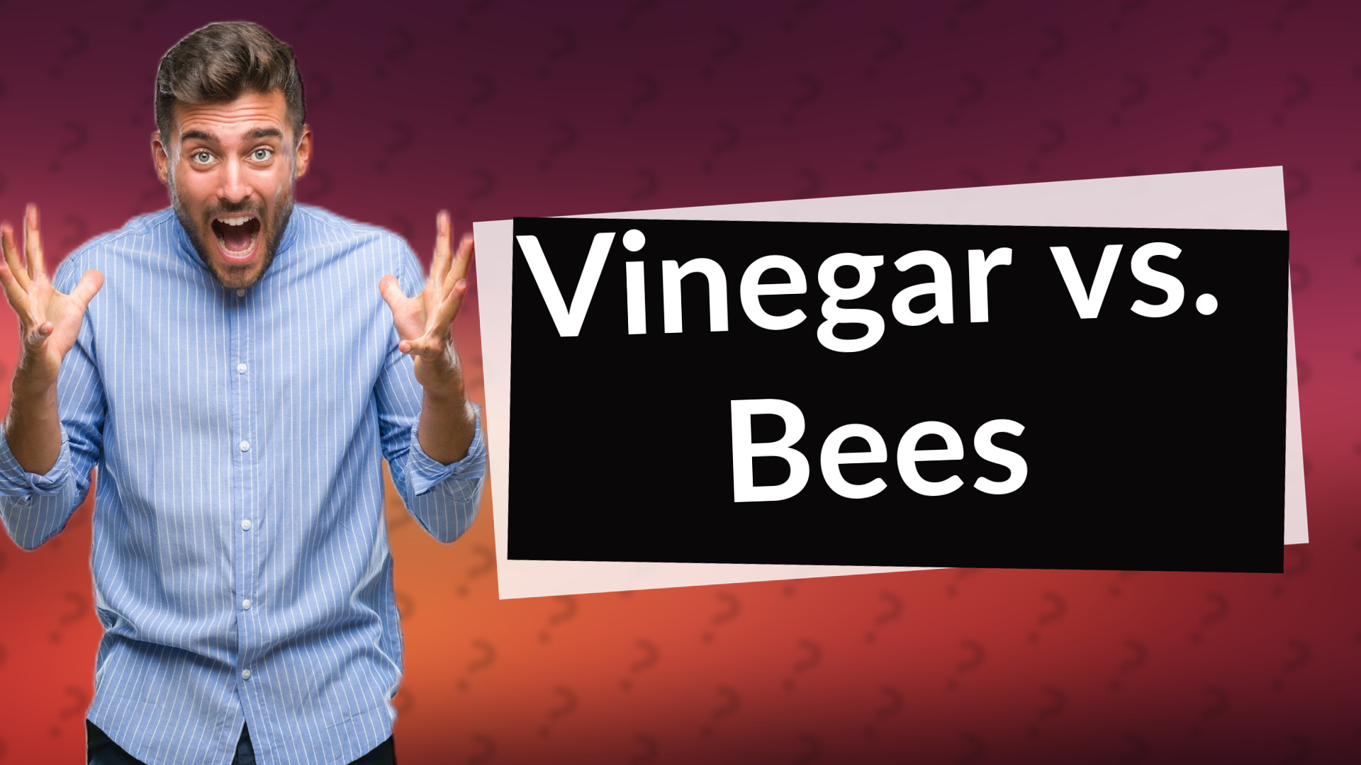 Vinegar vs. Bees