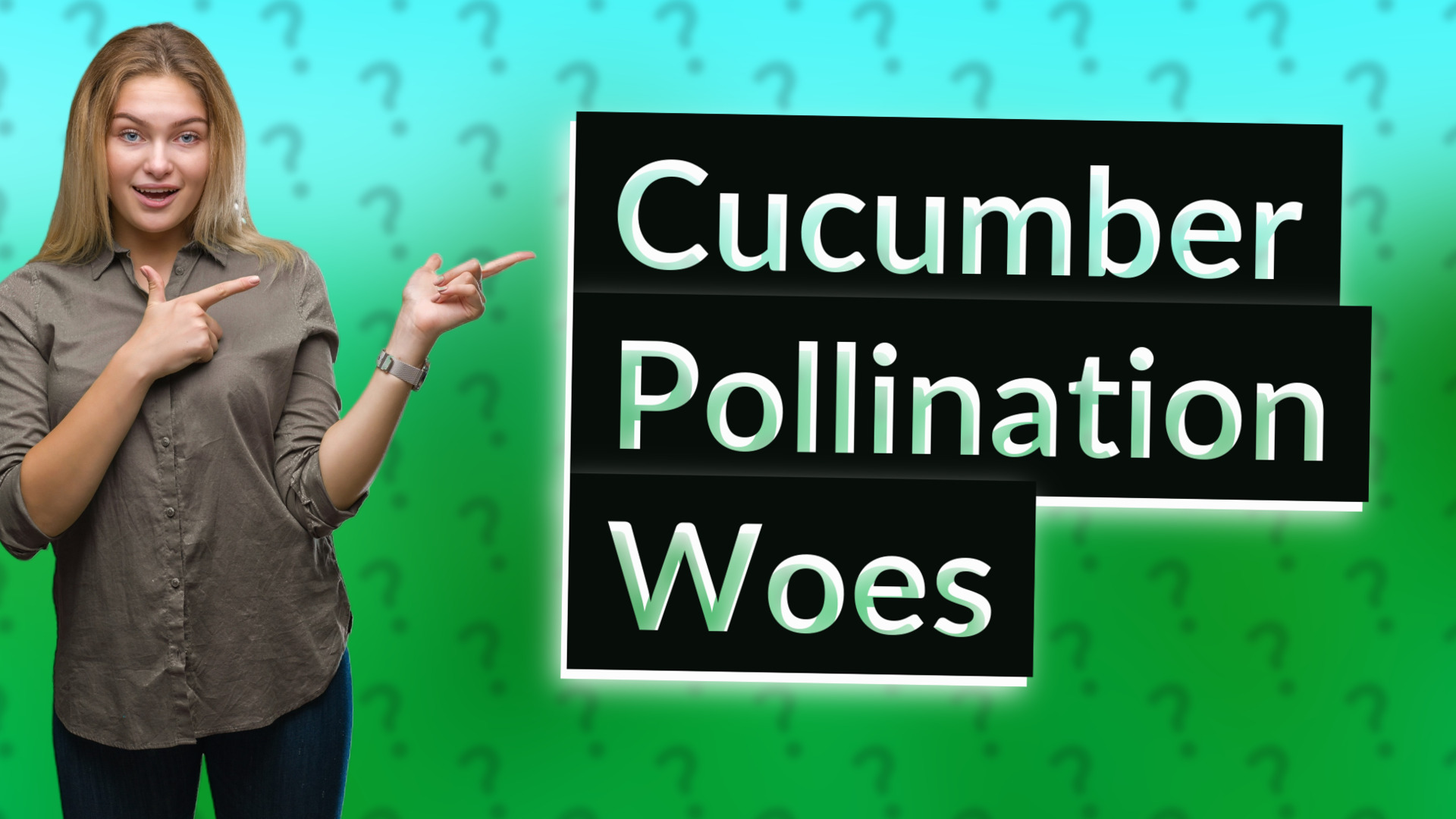Cucumber Pollination Woes