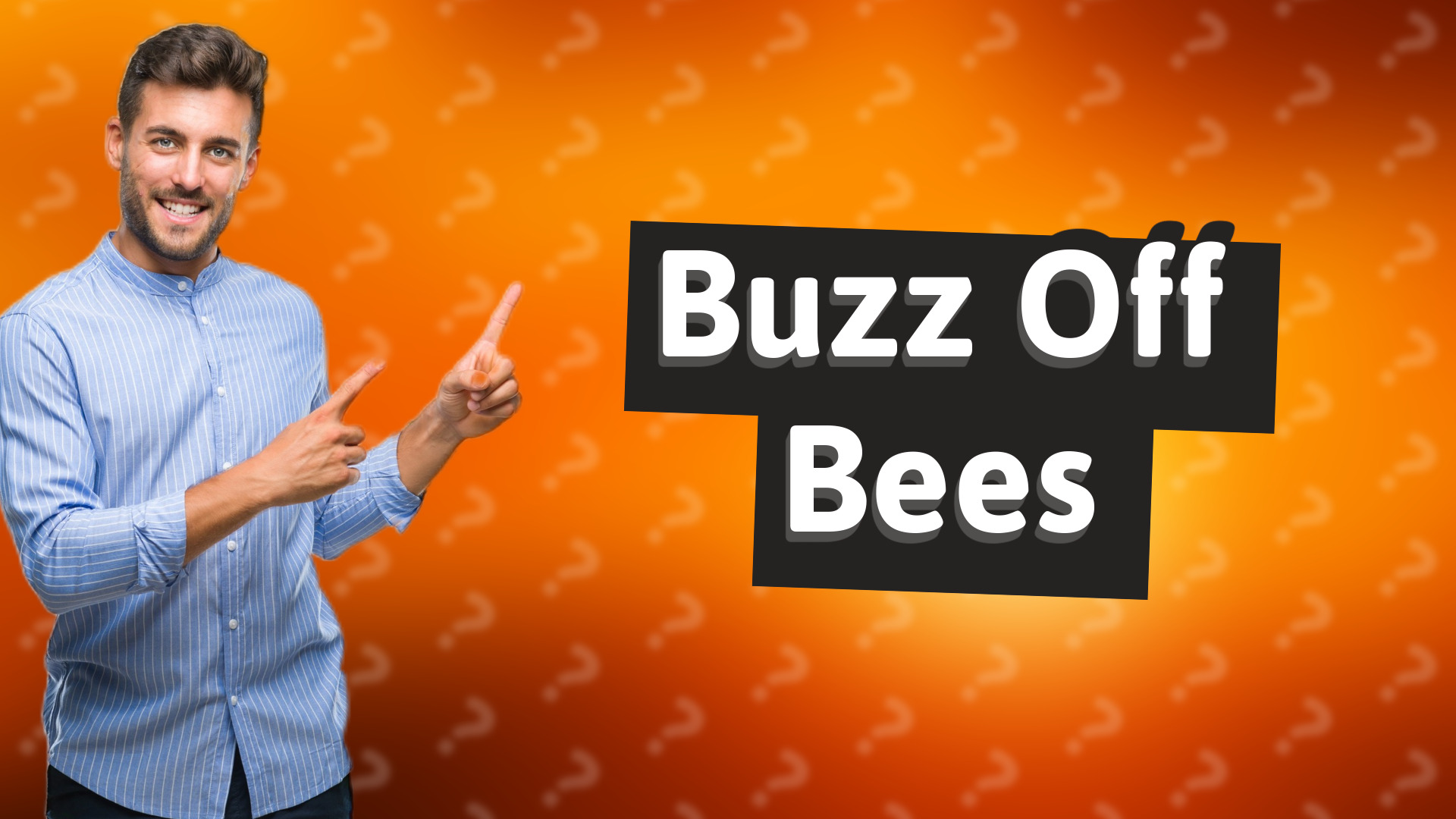 Buzz Off Bees