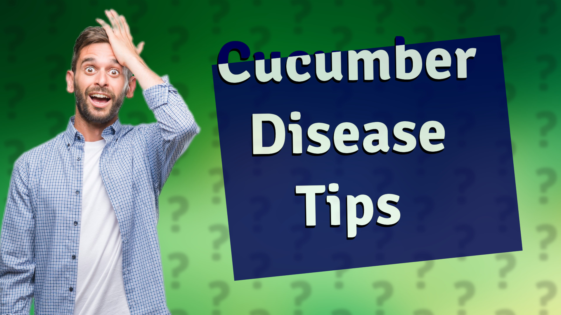 Cucumber Disease Tips