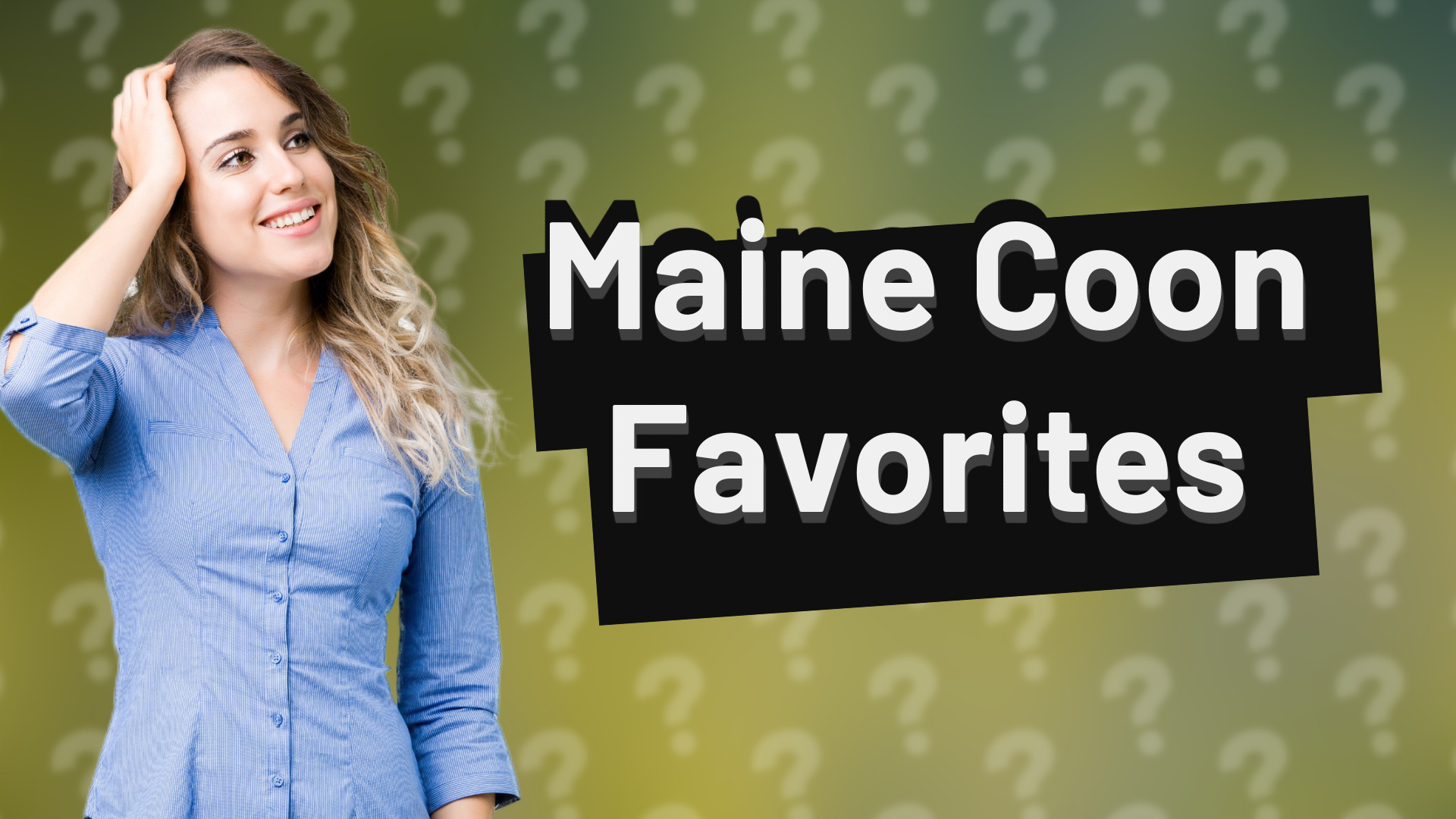 Maine Coon Favorites