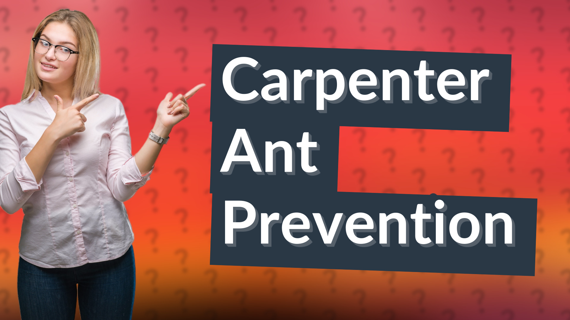 Carpenter Ant Prevention