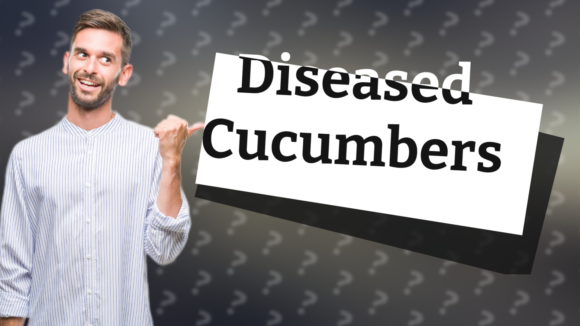 Diseased Cucumbers