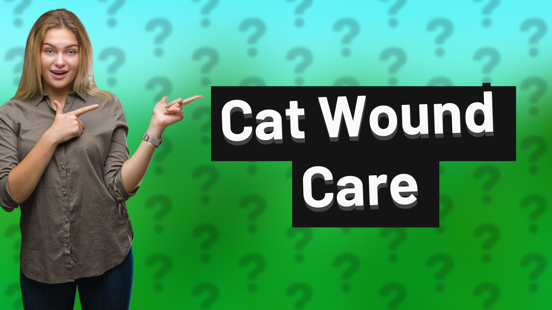 Cat Wound Care