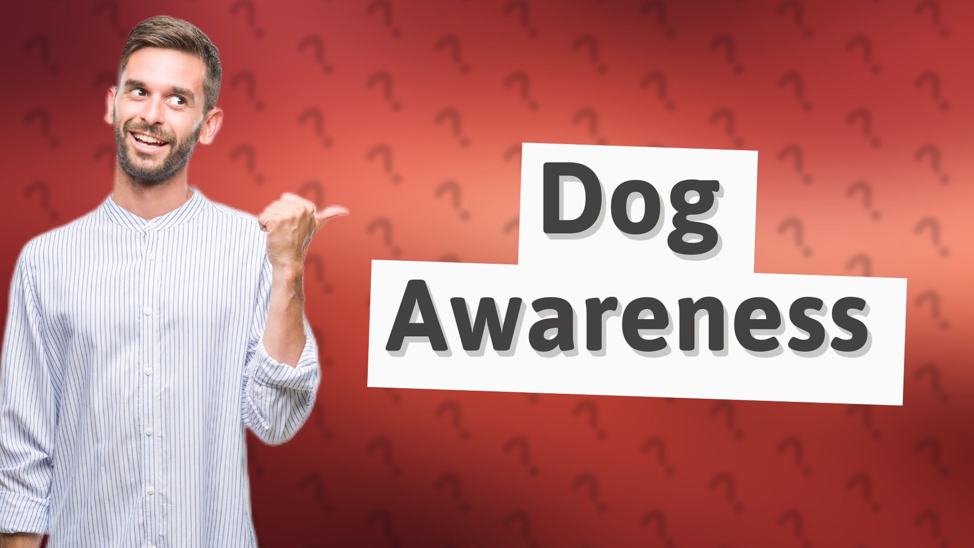 Dog Awareness