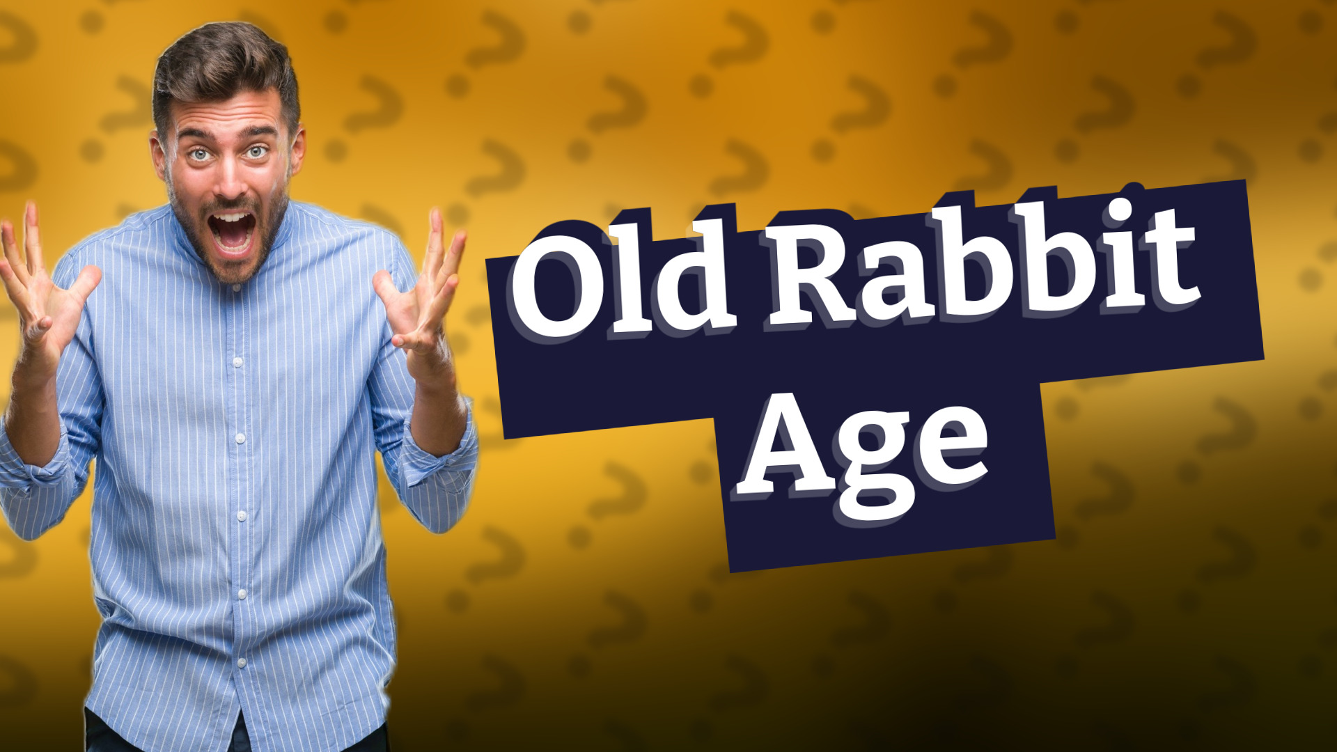 Old Rabbit Age