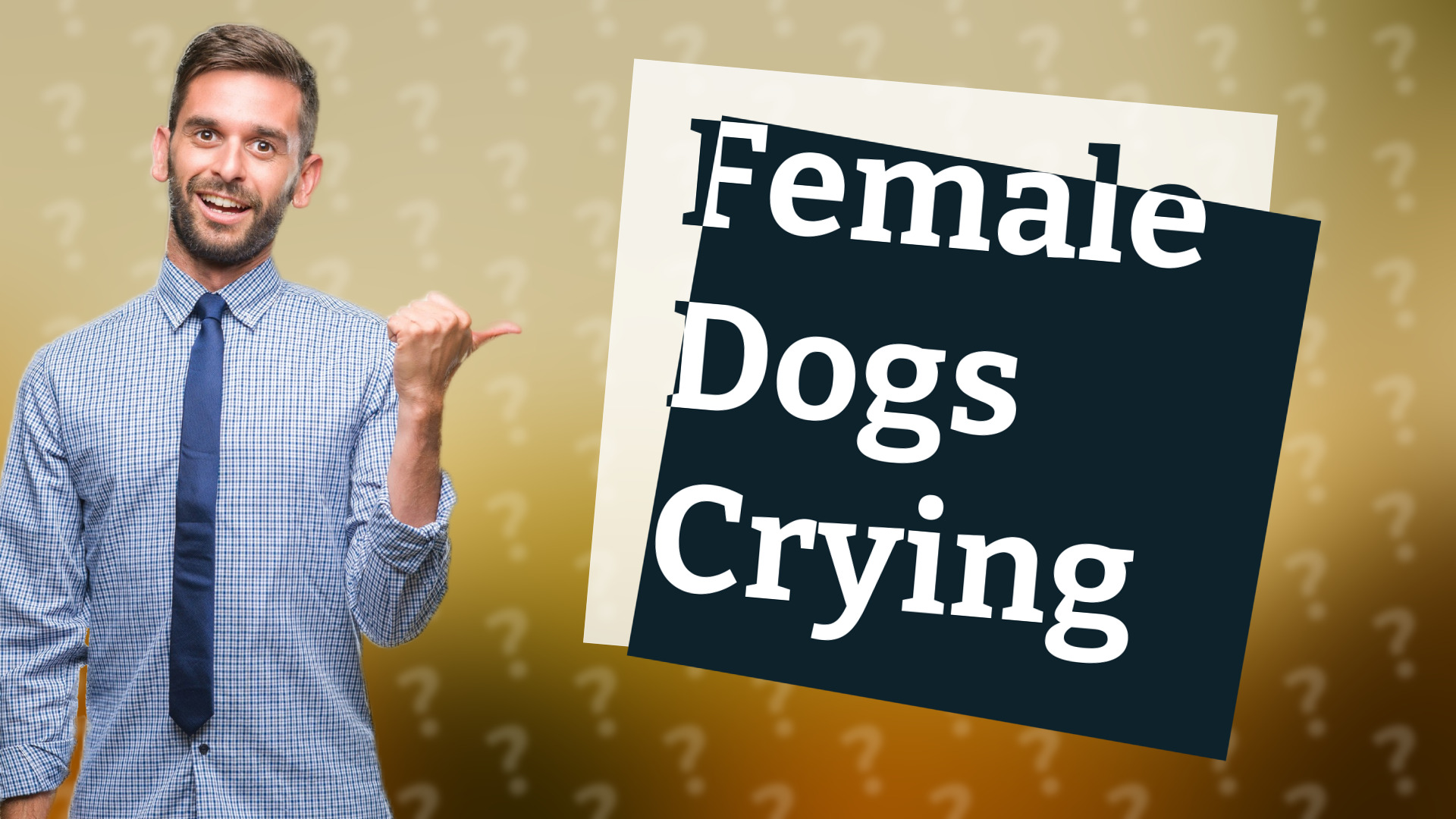 Female Dogs Crying