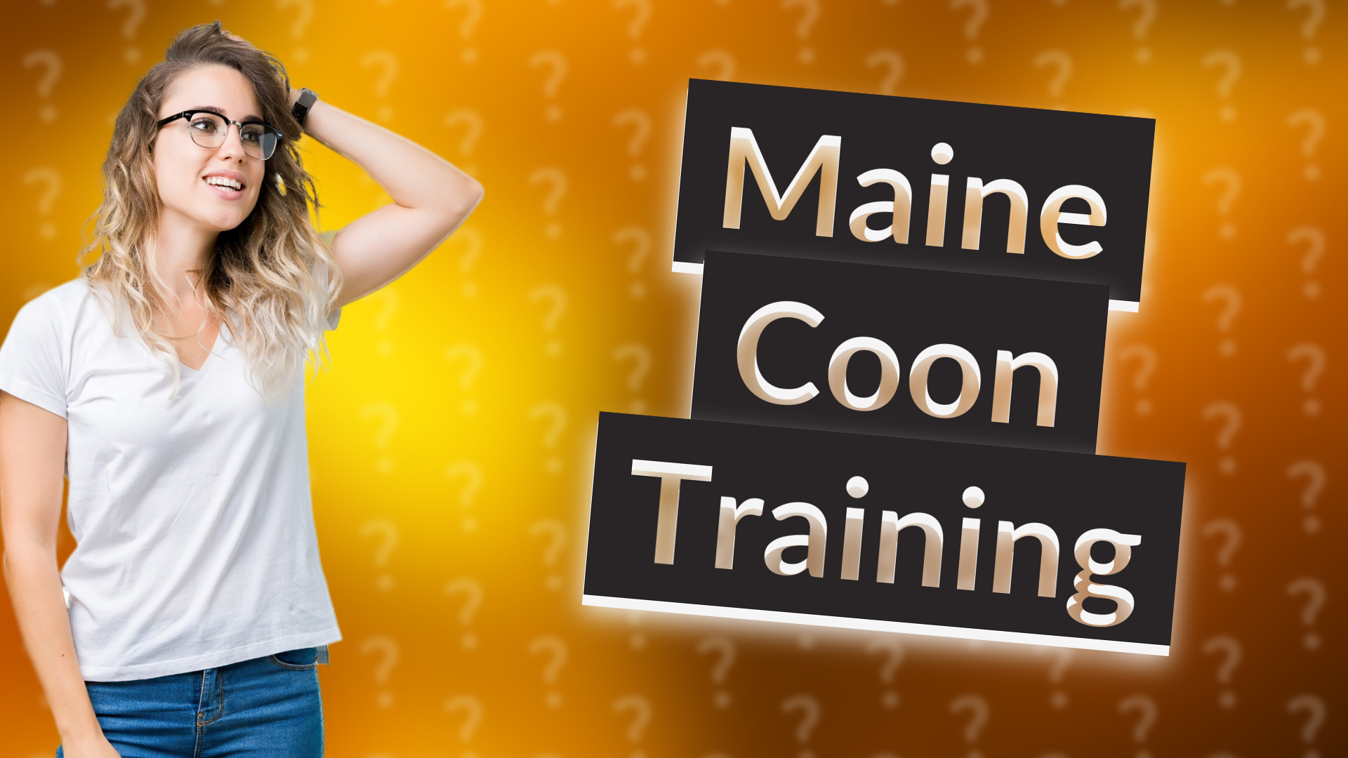 Maine Coon Training