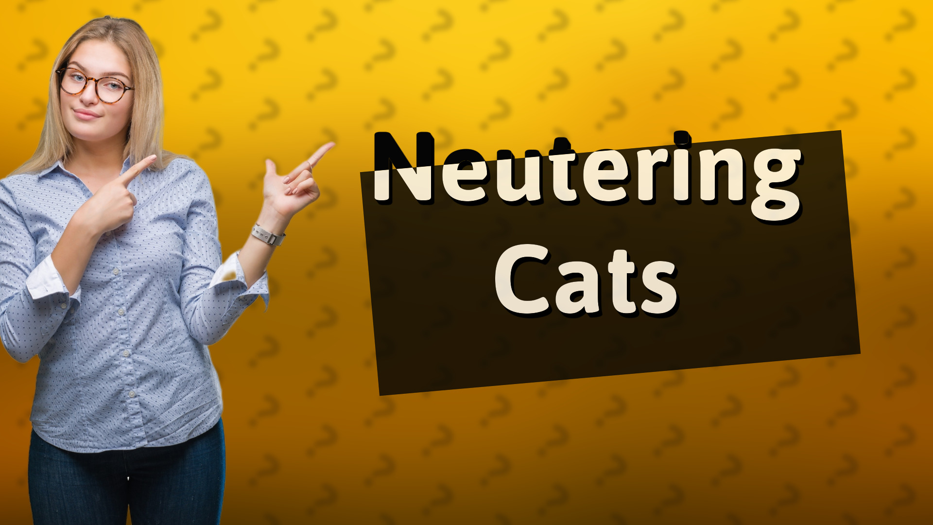 Neutering Cats