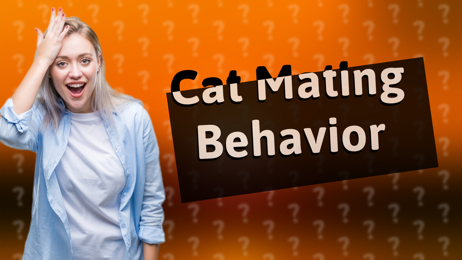 Cat Mating Behavior