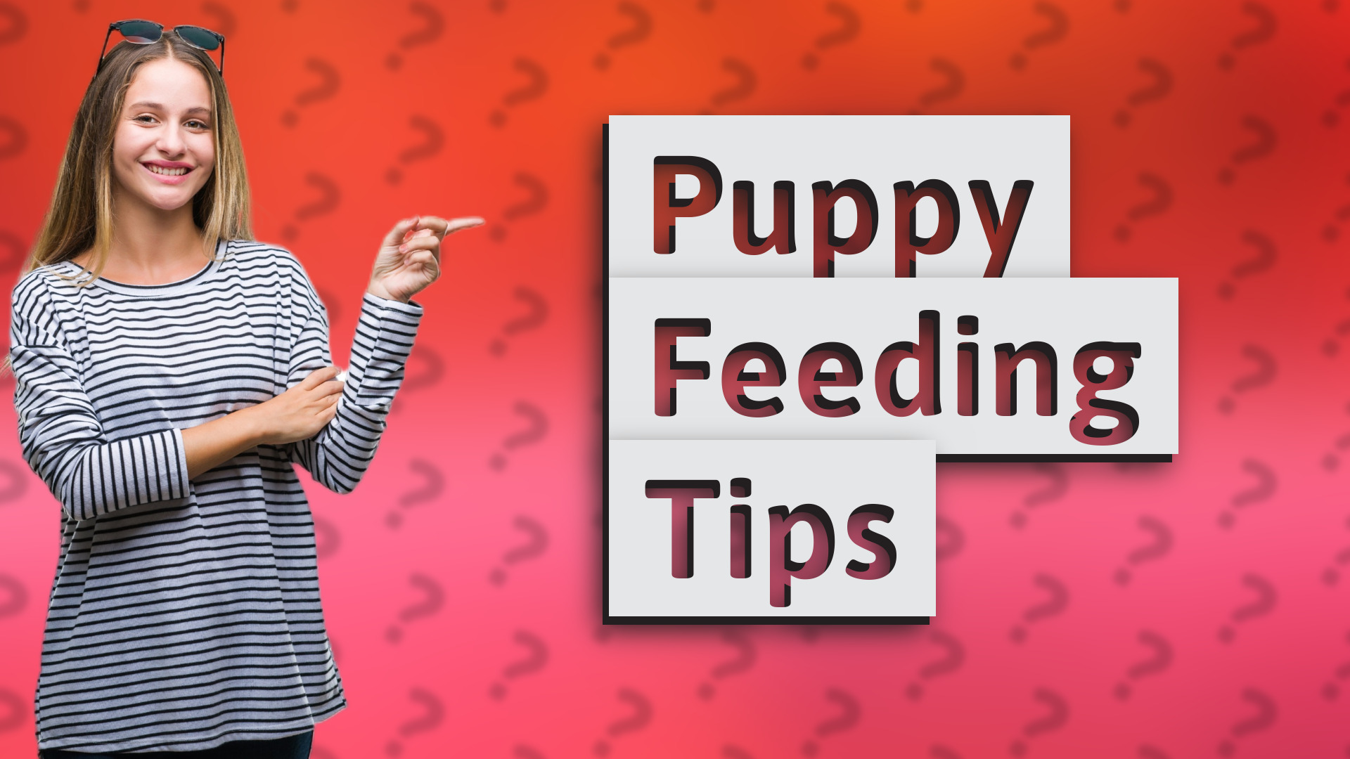 Puppy Feeding Tips