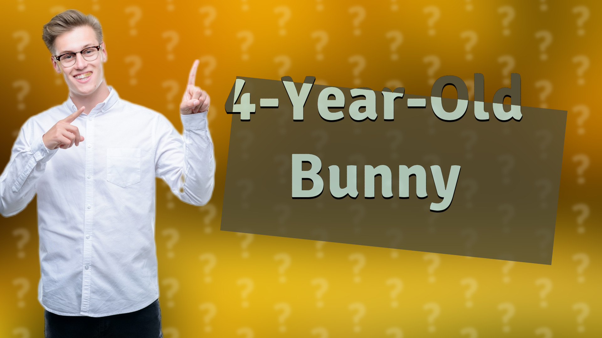 4-Year-Old Bunny