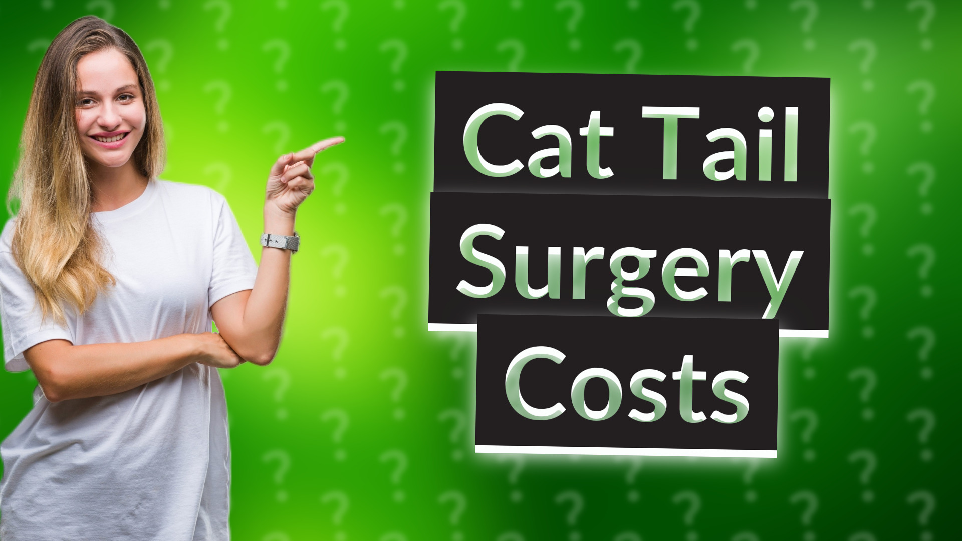 Cat Tail Surgery Costs