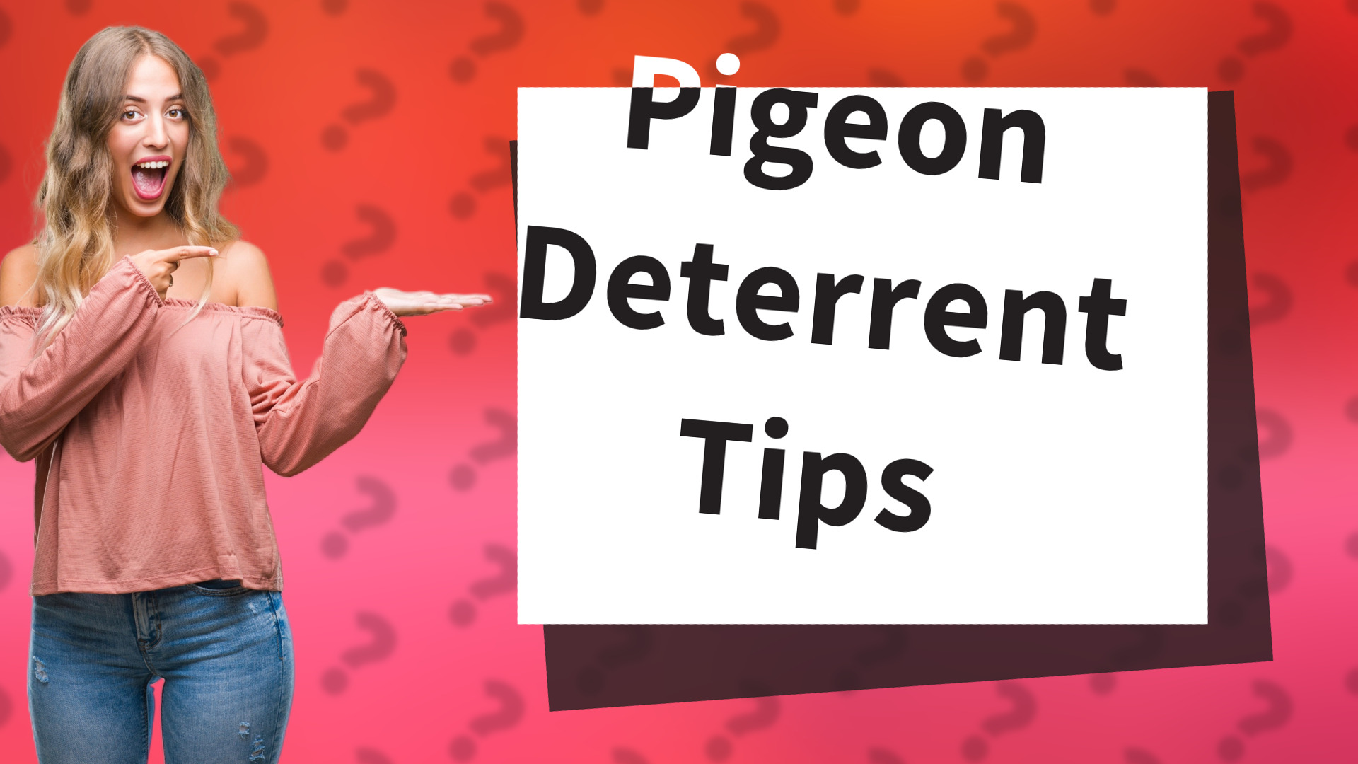 Pigeon Deterrent Tips