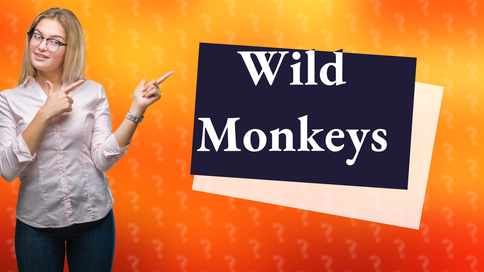 Wild Monkeys