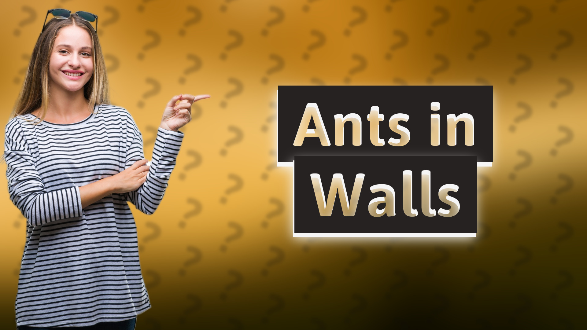Ants in Walls