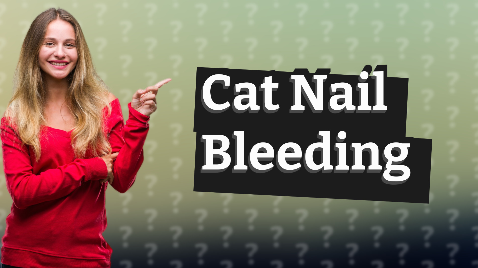 Cat Nail Bleeding