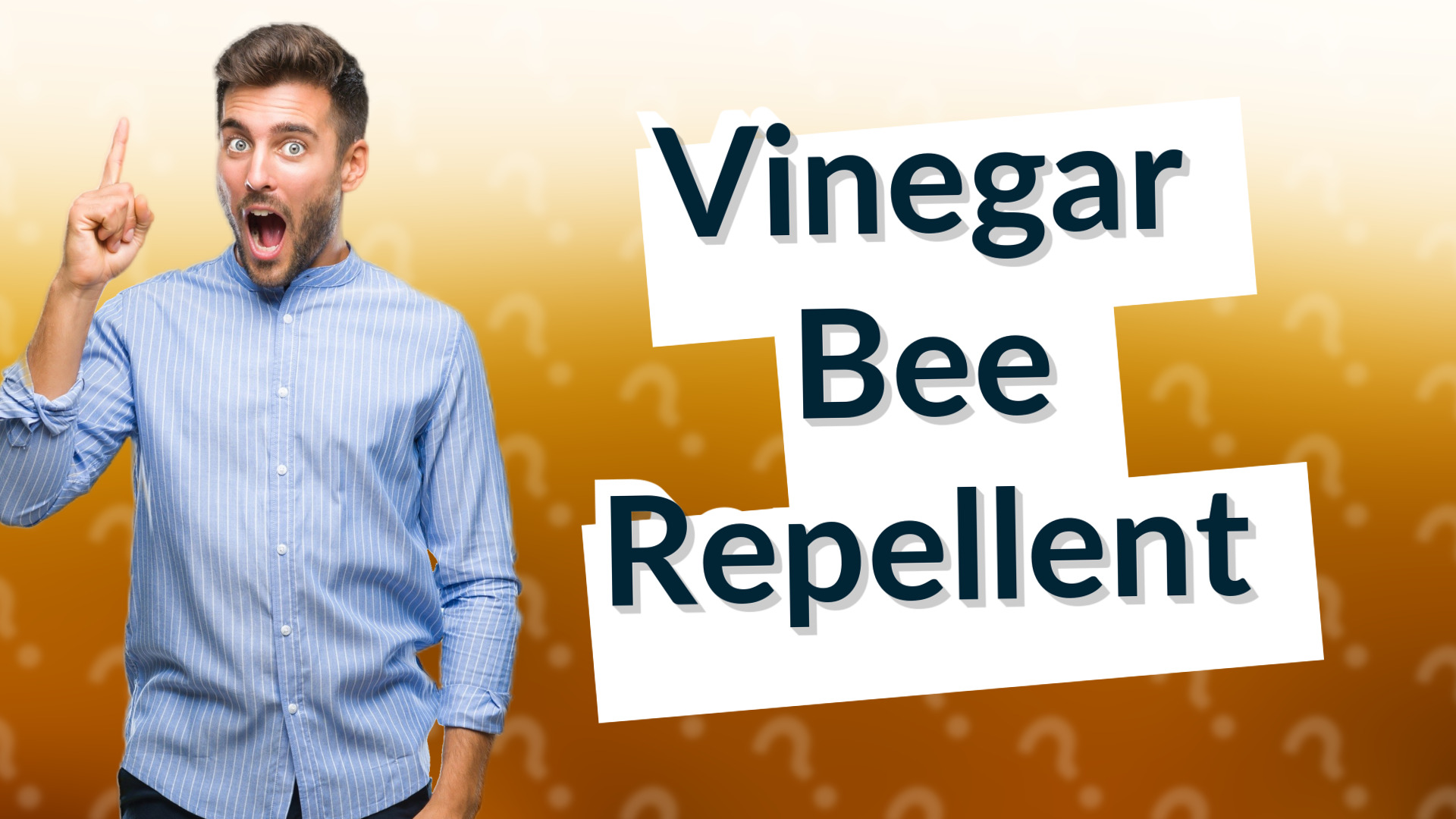 Vinegar Bee Repellent