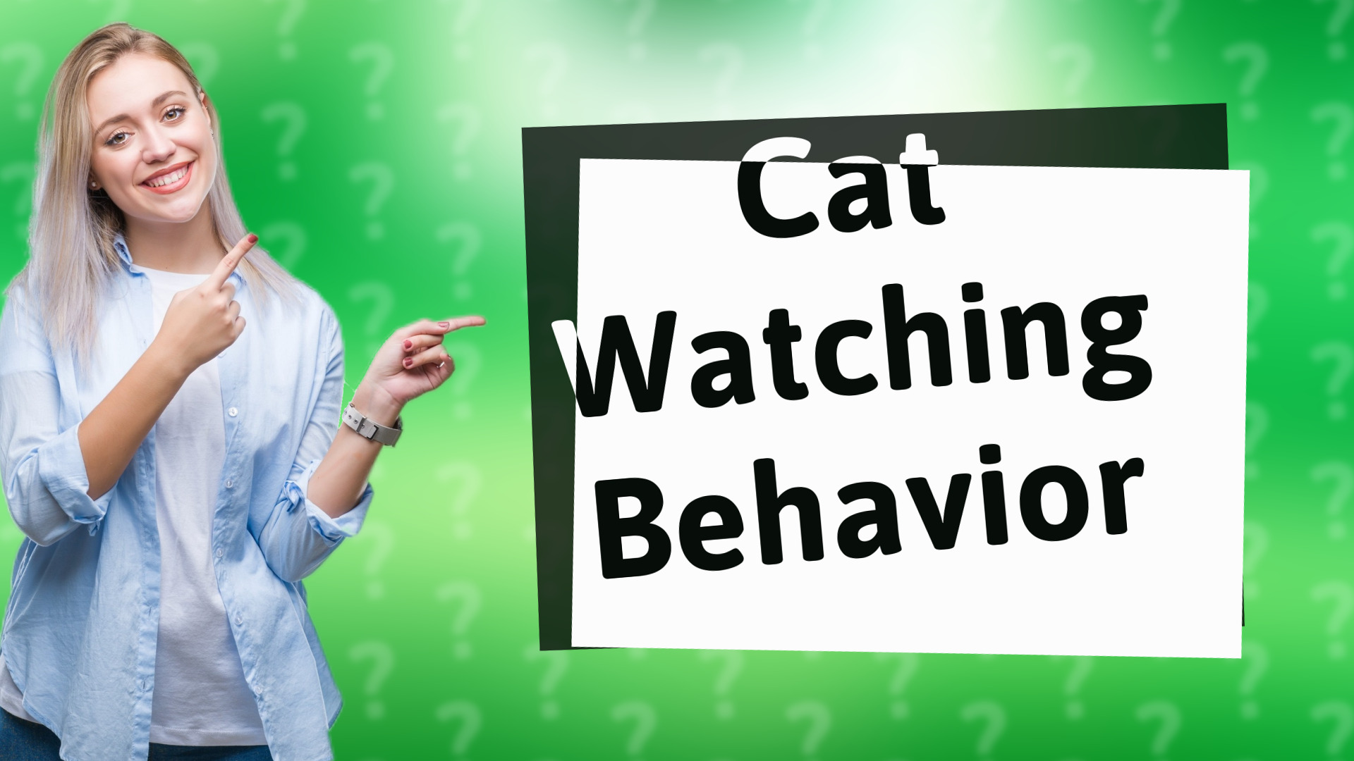 Cat Watching Behavior