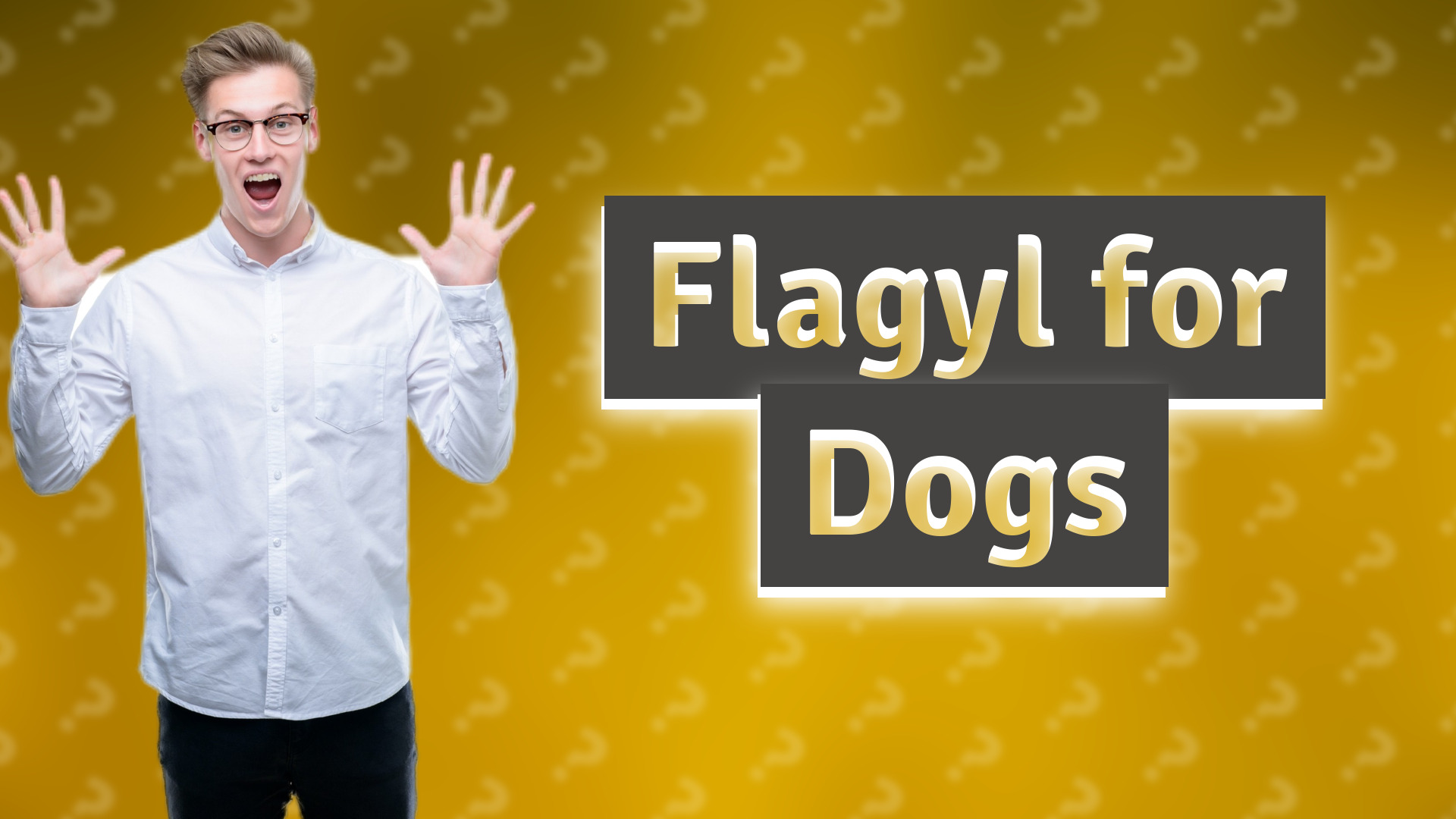 Flagyl for Dogs