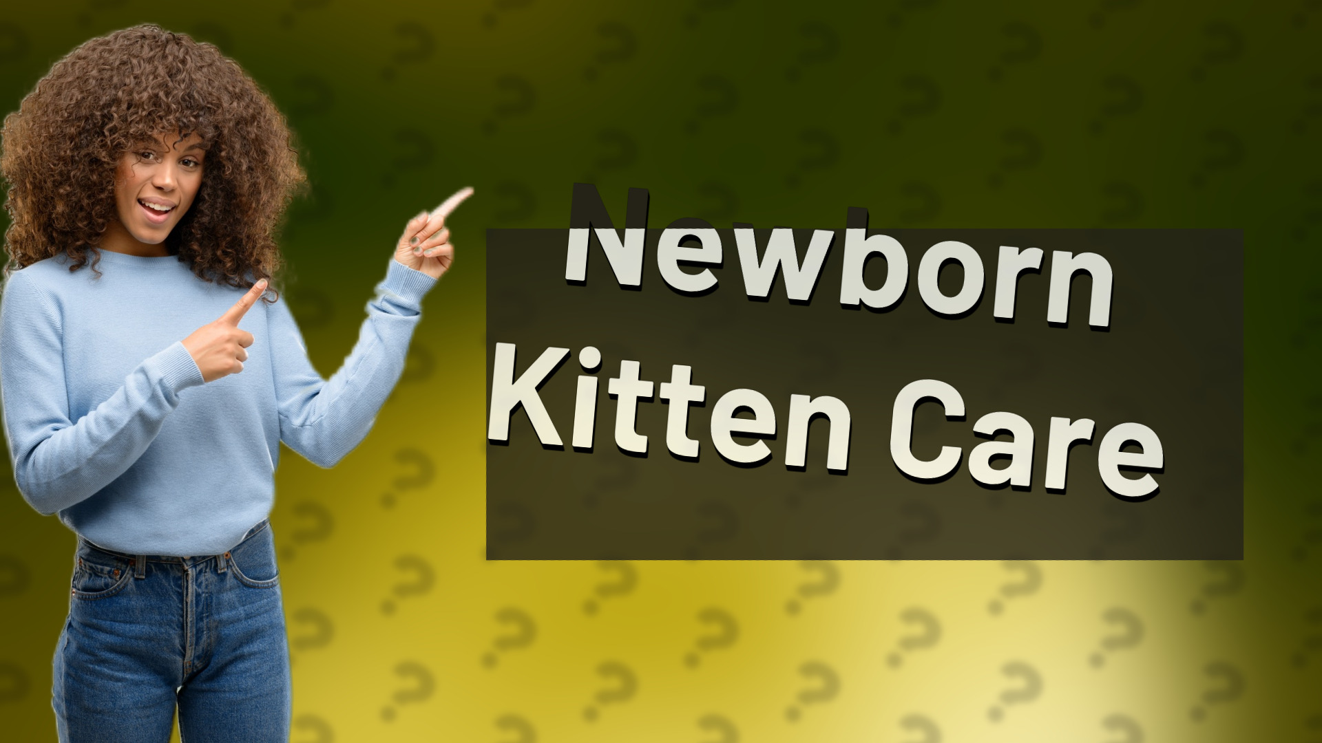 Newborn Kitten Care