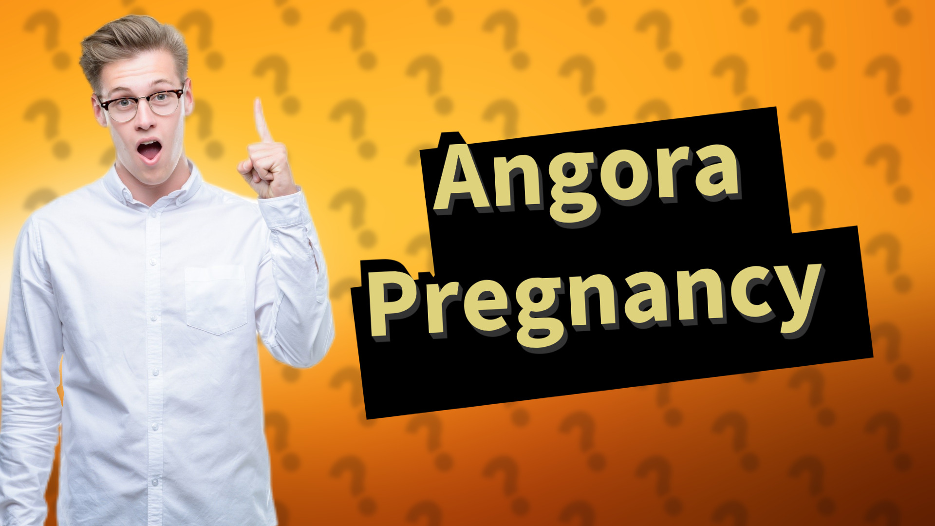 Angora Pregnancy