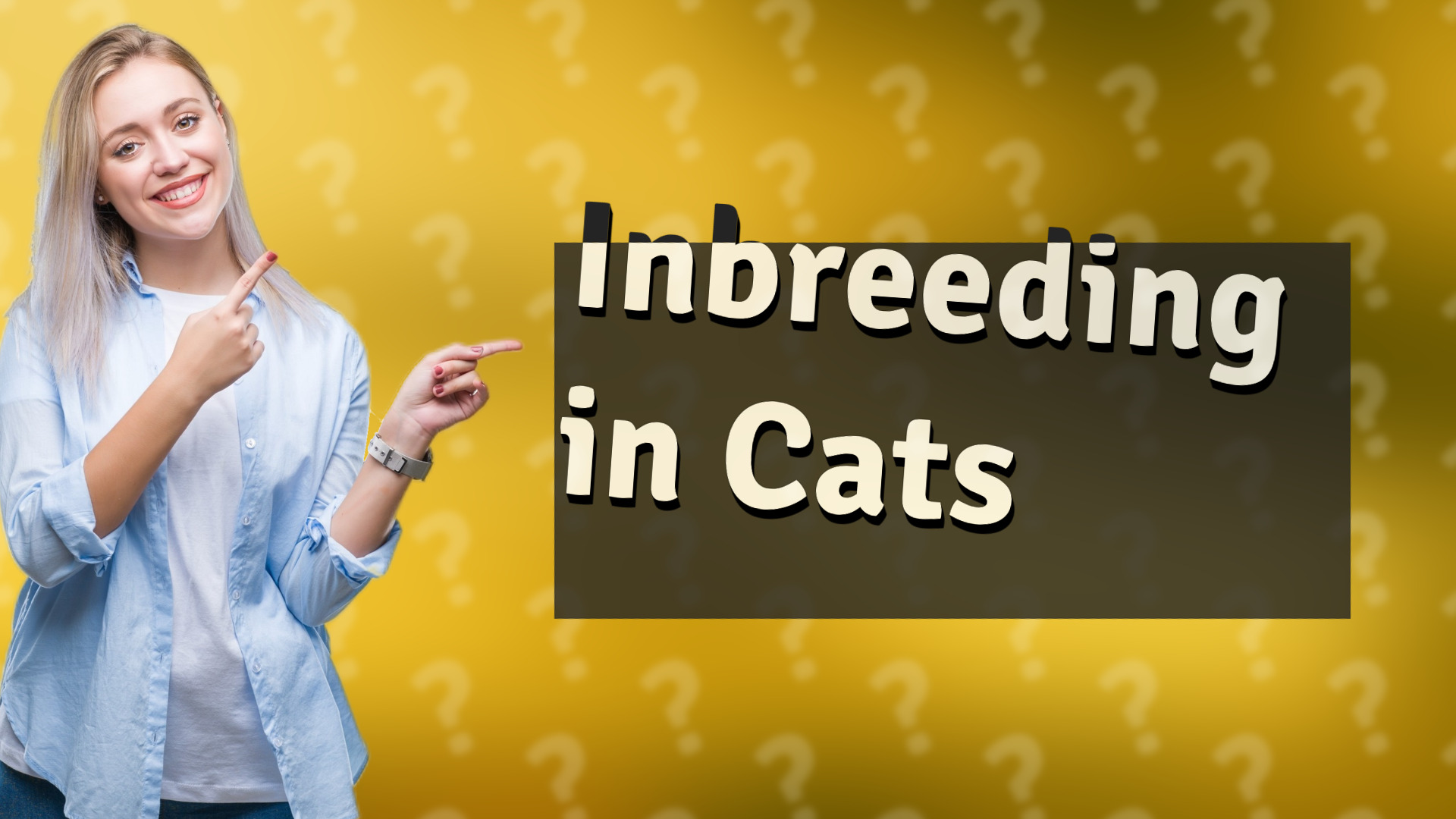 Inbreeding in Cats