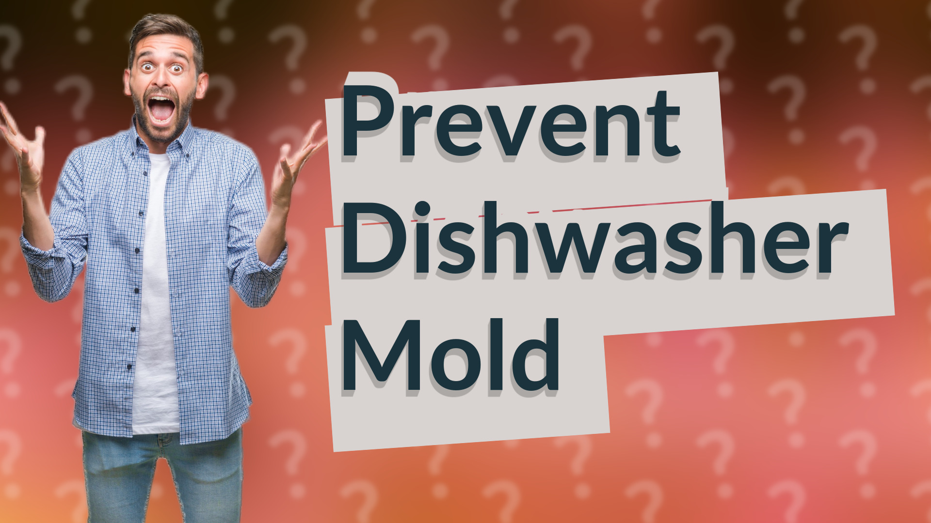 Prevent Dishwasher Mold